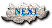 next image
